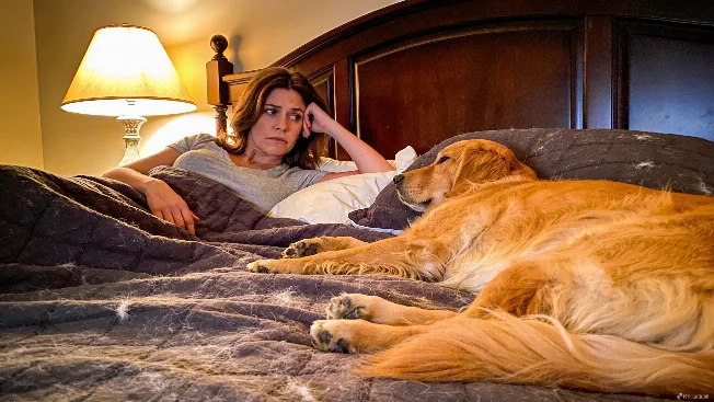 What Sleeping With Your Dog or Cat Says About Your Personality and Emotional Needs PsyTheater
